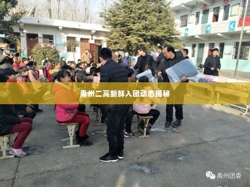 禹州二高新鲜入团动态揭秘