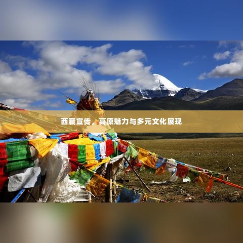 西藏宣传,高原魅力与多元文化展现