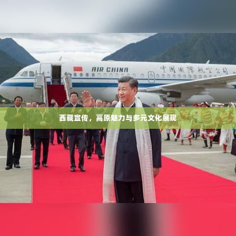 西藏宣传,高原魅力与多元文化展现