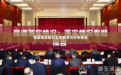 专题落实情况深度解读与分析报告
