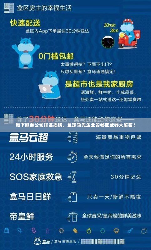 地下能源公司排名揭晓,全球领先企业的秘密武器大解密!