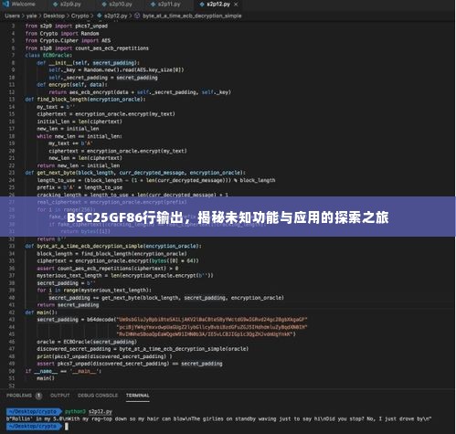 BSC25GF86行输出,揭秘未知功能与应用的探索之旅