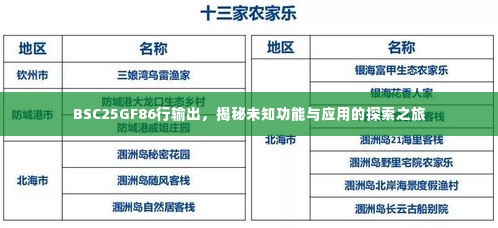 BSC25GF86行输出,揭秘未知功能与应用的探索之旅