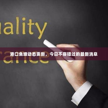 港口鱼塘动态更新，今日不容错过的最新消息