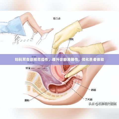 妇科双合诊规范操作,提升诊断准确性,优化患者体验