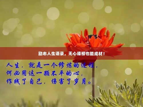 励志人生语录,无心插柳也能成材!