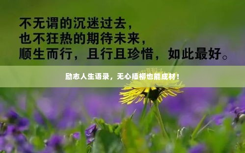 励志人生语录,无心插柳也能成材!