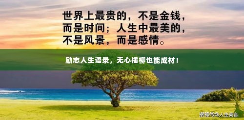 励志人生语录,无心插柳也能成材!
