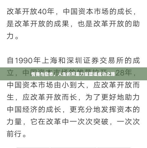 情商与励志,人生的双重力量塑造成功之路