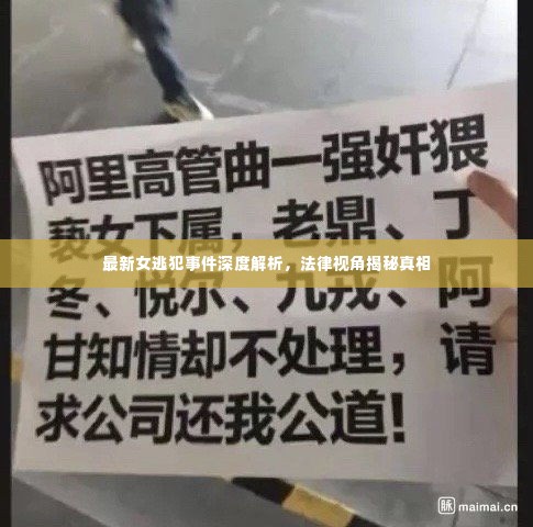 最新女逃犯事件深度解析,法律视角揭秘真相