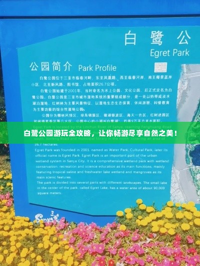 白鹭公园游玩全攻略,让你畅游尽享自然之美!