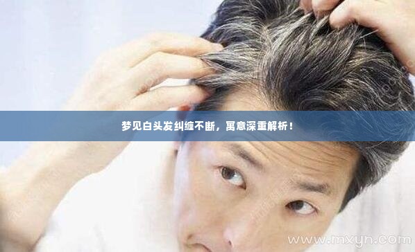 梦见白头发纠缠不断,寓意深重解析!