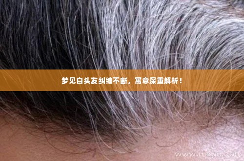 梦见白头发纠缠不断,寓意深重解析!