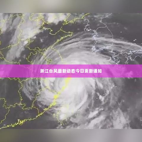 浙江台风最新动态今日更新通知