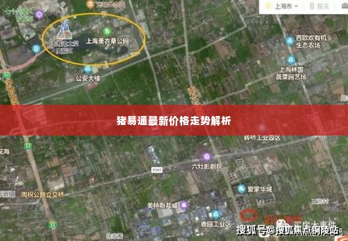 猪易通最新价格走势解析