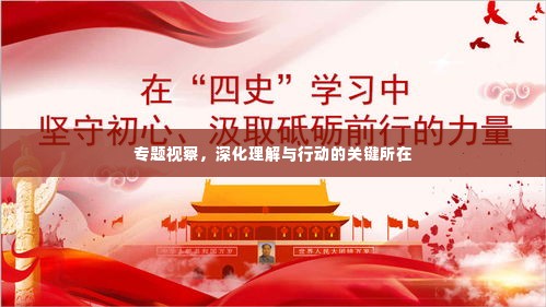 专题视察,深化理解与行动的关键所在