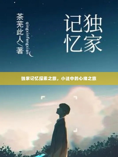 独家记忆探索之旅,小说中的心绪之旅