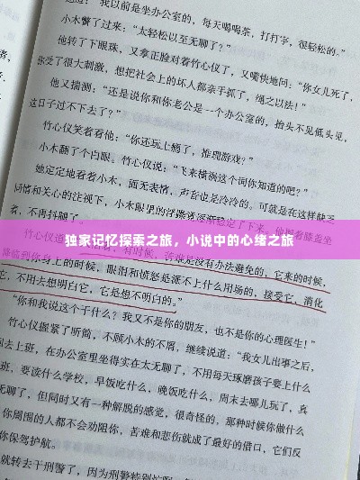 独家记忆探索之旅，小说中的心绪之旅