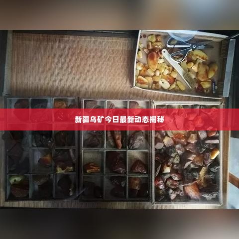 新疆乌矿今日最新动态揭秘