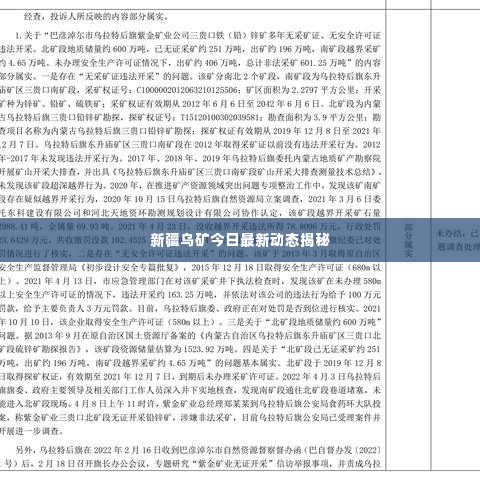 新疆乌矿今日最新动态揭秘