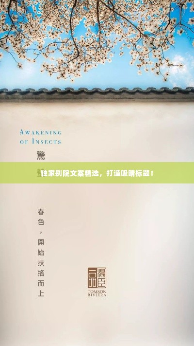 独家别院文案精选,打造吸睛标题!