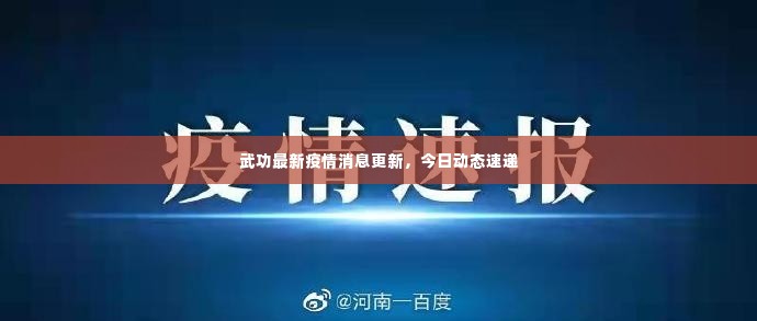 武功最新疫情消息更新,今日动态速递