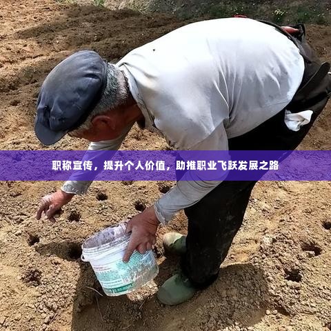 职称宣传,提升个人价值,助推职业飞跃发展之路