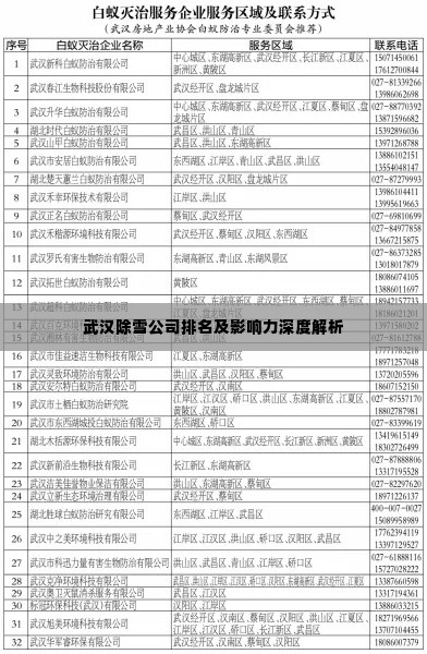 武汉除雪公司排名及影响力深度解析