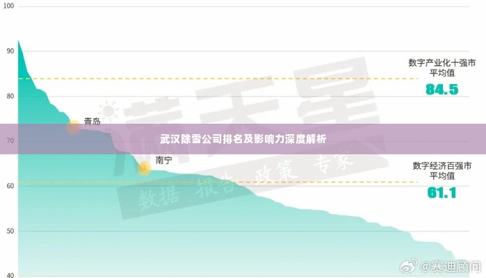 武汉除雪公司排名及影响力深度解析