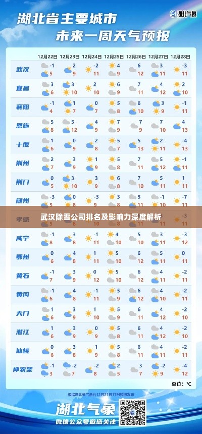 武汉除雪公司排名及影响力深度解析