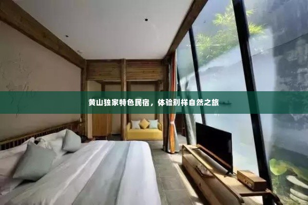 黄山独家特色民宿,体验别样自然之旅