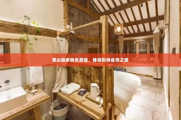 黄山独家特色民宿,体验别样自然之旅