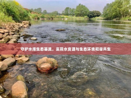 守护水库生态基流,实现水资源与生态环境和谐共生