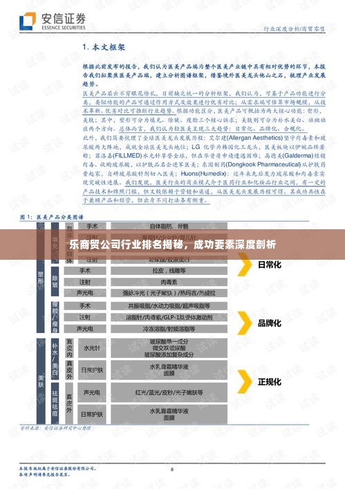 乐商贸公司行业排名揭秘,成功要素深度剖析
