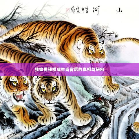 独家揭秘权威生肖背后的真相与秘密