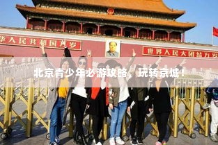 不飞则已 第2页