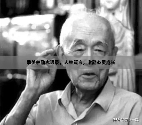 季羡林励志语录,人生箴言,激励心灵成长