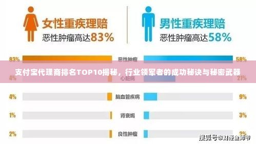 支付宝代理商排名TOP10揭秘,行业领军者的成功秘诀与秘密武器