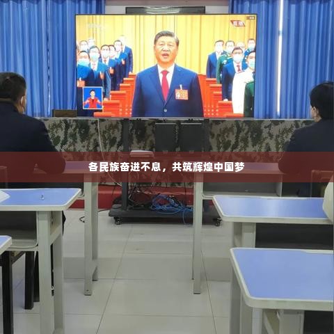 各民族奋进不息,共筑辉煌中国梦