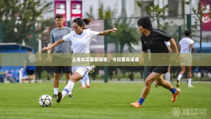 上海女足最新动态，今日要闻速递