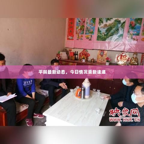平舆最新动态，今日情况更新速递