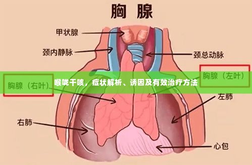 喉咙干咳,症状解析、诱因及有效治疗方法