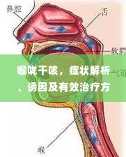 喉咙干咳,症状解析、诱因及有效治疗方法