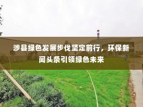 涉县绿色发展步伐坚定前行,环保新闻头条引领绿色未来