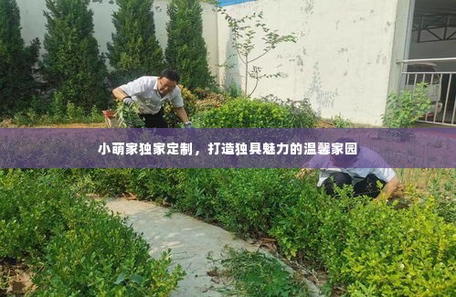 小萌家独家定制,打造独具魅力的温馨家园