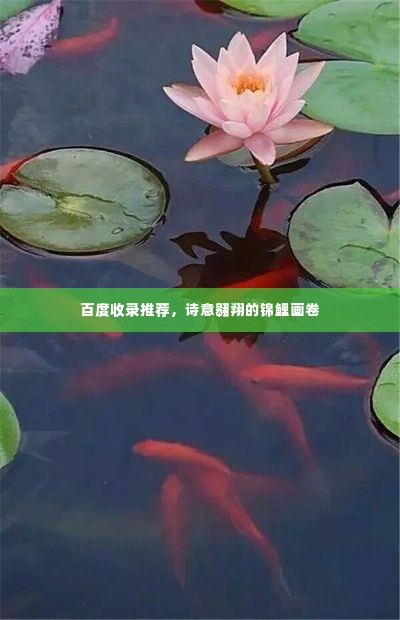 百度收录推荐，诗意翱翔的锦鲤画卷