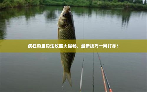 疯狂钓鱼钓法攻略大揭秘,最新技巧一网打尽!