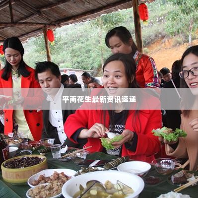 平南花生最新资讯速递