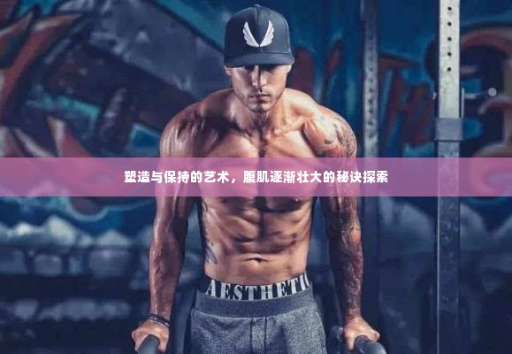 塑造与保持的艺术,腹肌逐渐壮大的秘诀探索