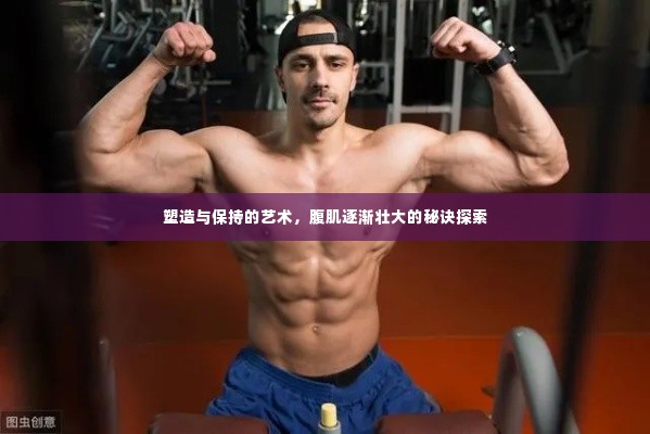 塑造与保持的艺术,腹肌逐渐壮大的秘诀探索